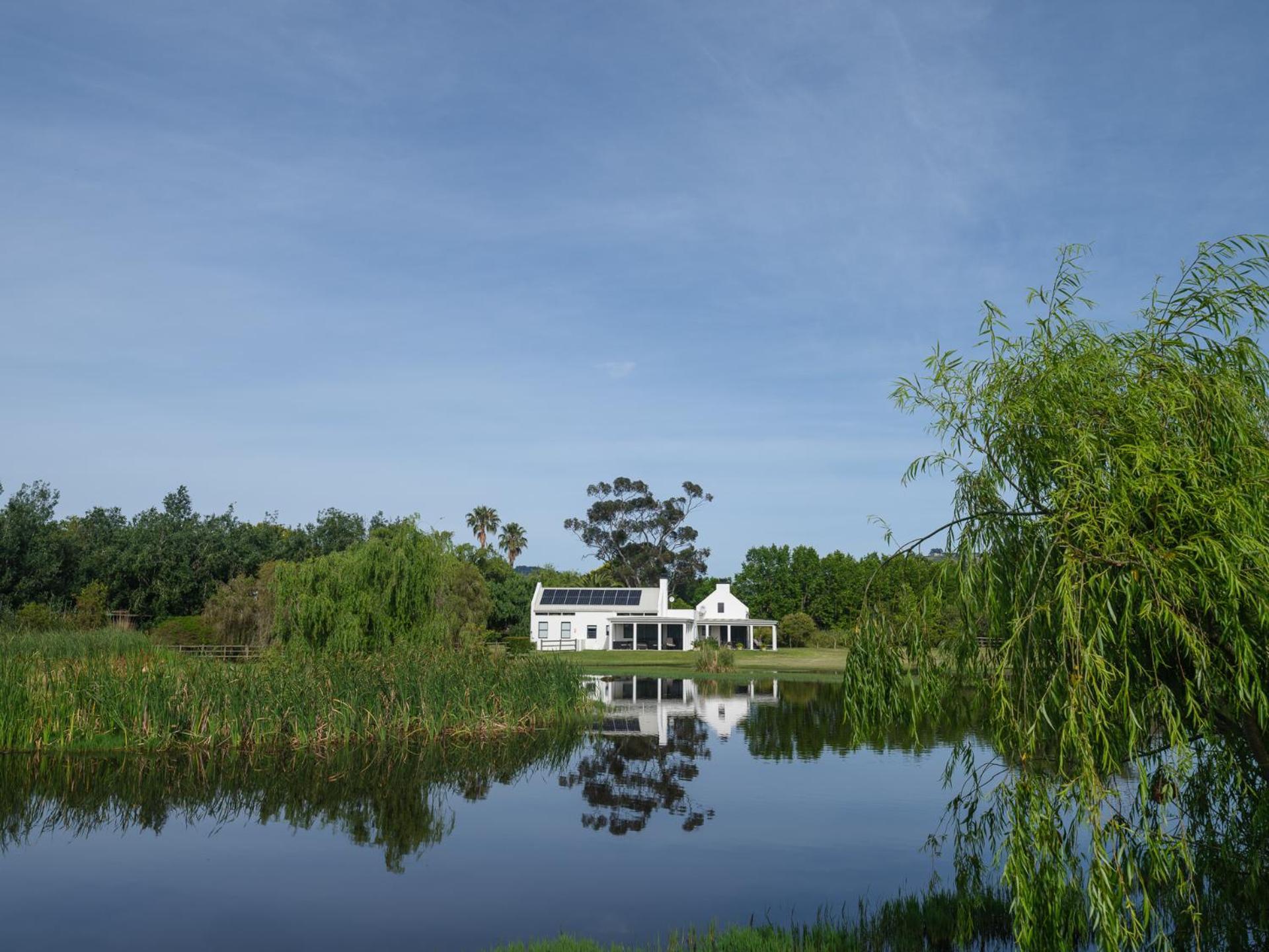 Sanddrif Stellenbosch Guest Farm Dış mekan fotoğraf