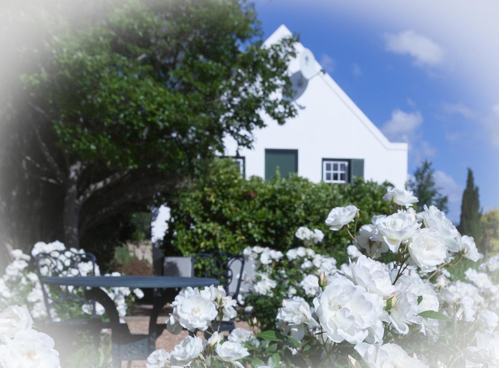 Sanddrif Stellenbosch Guest Farm Dış mekan fotoğraf