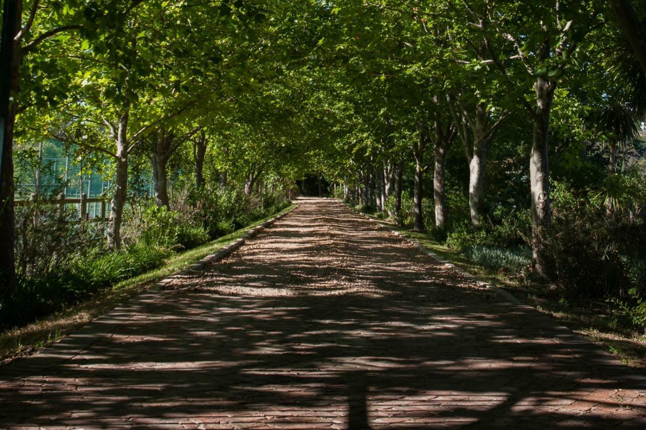 Sanddrif Stellenbosch Guest Farm Dış mekan fotoğraf